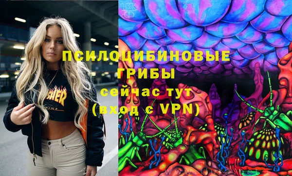спиды Алексеевка