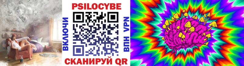 маркетплейс официальный сайт  Конаково  Псилоцибиновые грибы Cubensis  где можно купить наркотик 